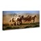 Stupell Industries Trotting Horses & Cowboy Canvas By David Drost